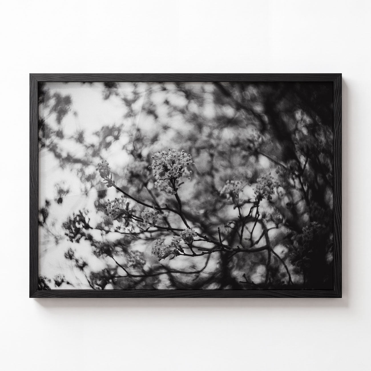 Branches No. I