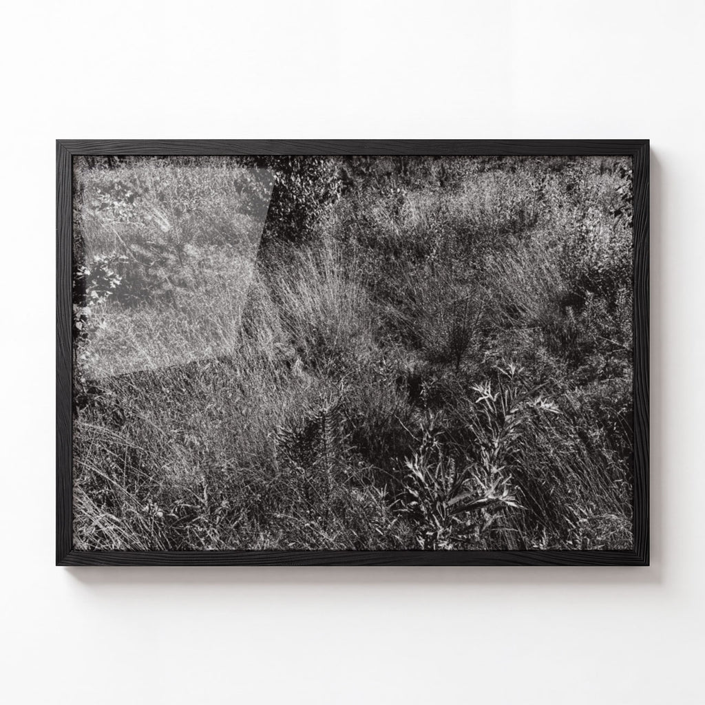 Meadow No. I