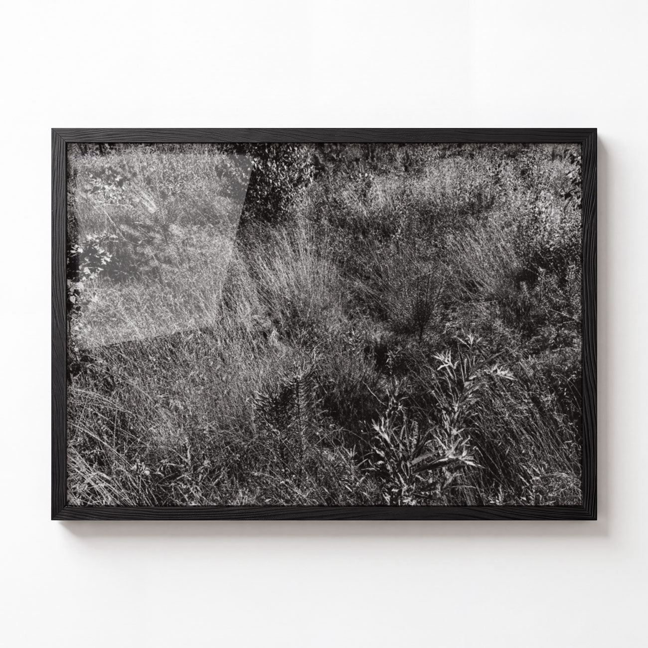 Meadow No. I