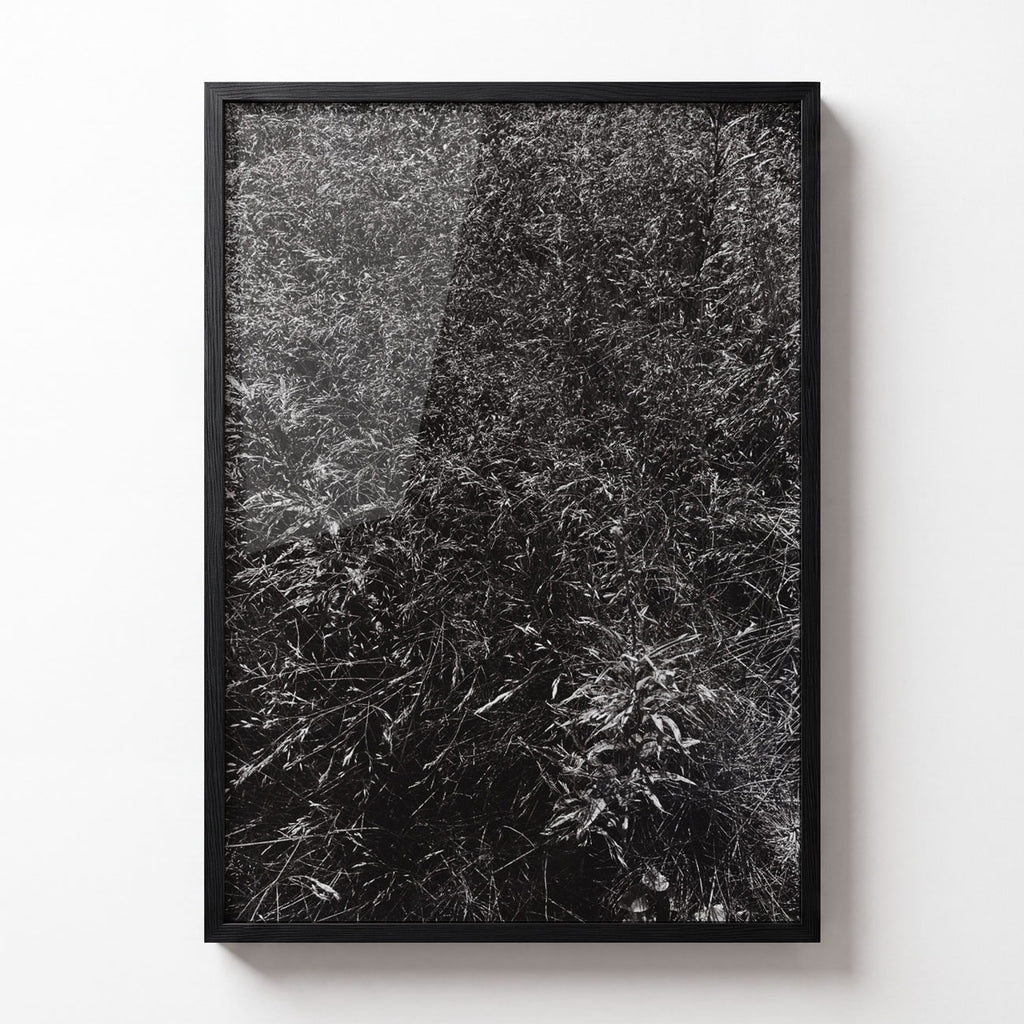 Meadow No. II