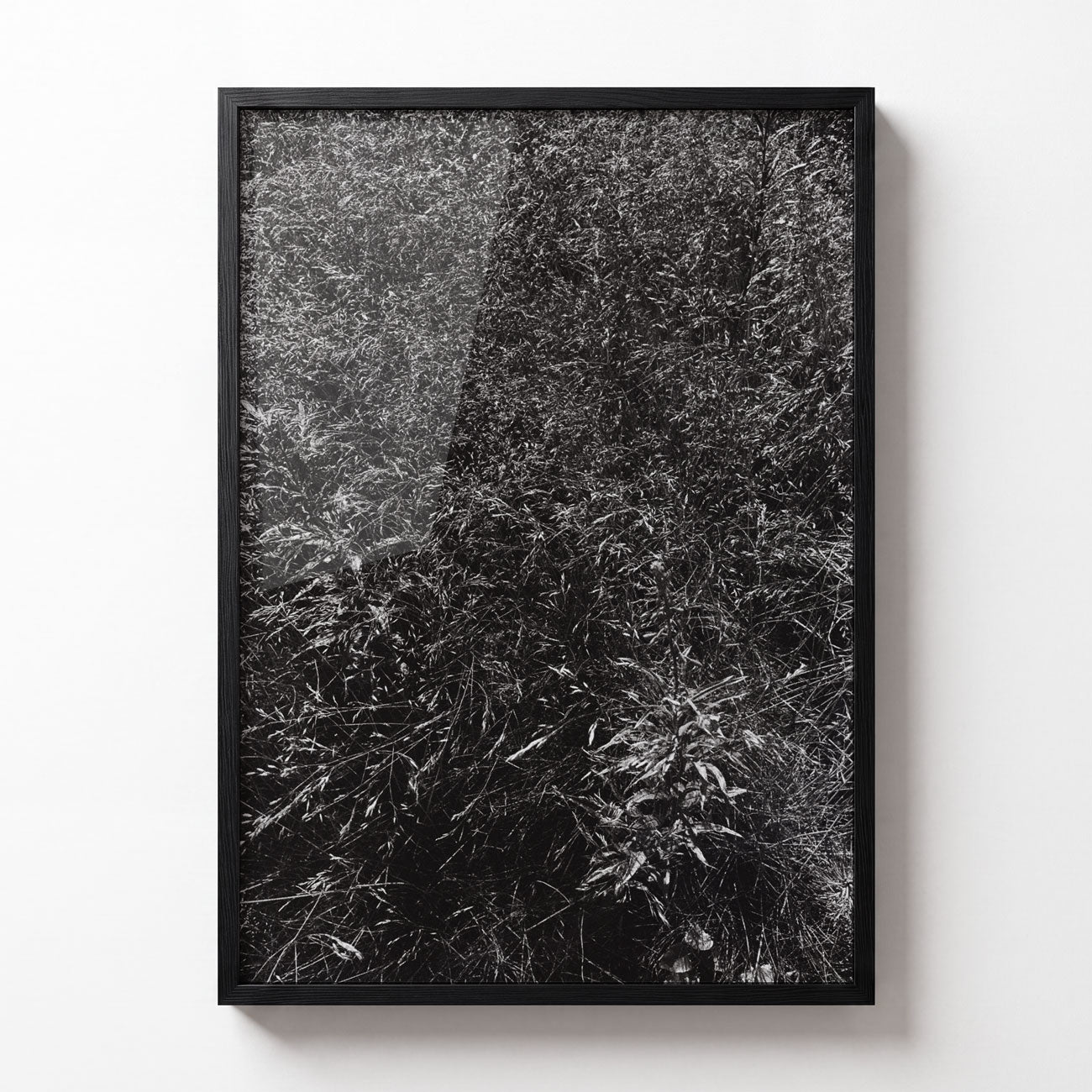 Meadow No. II