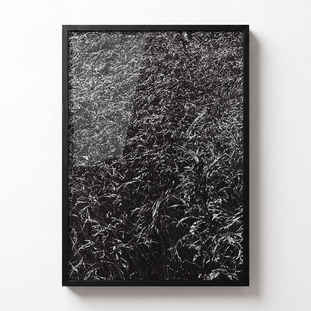 Meadow No. III