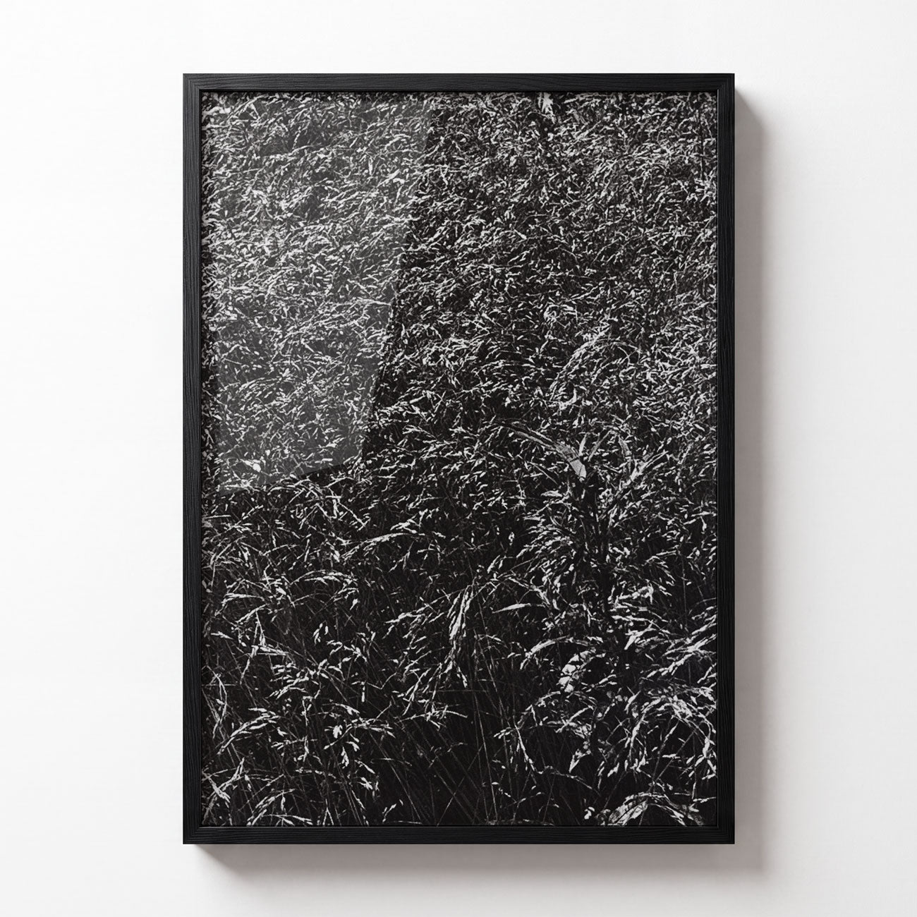 Meadow No. III
