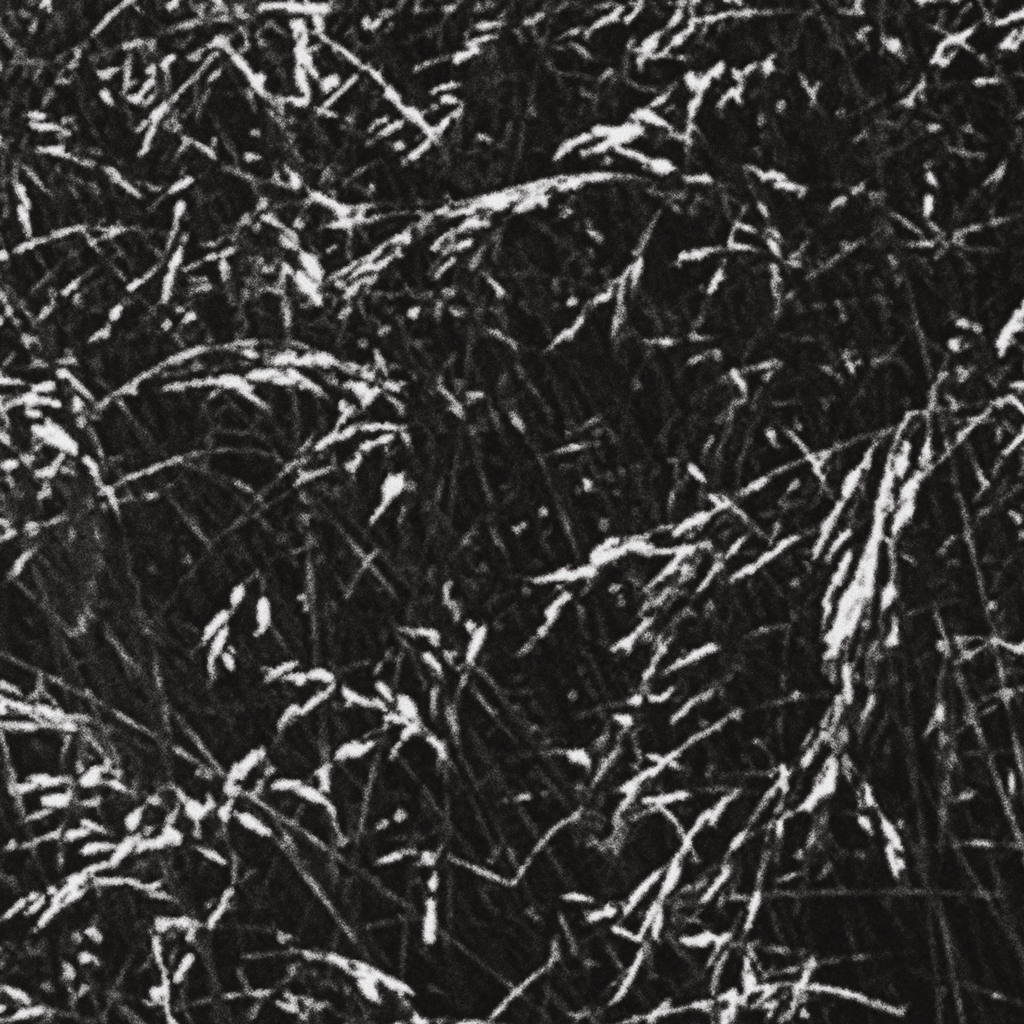 Meadow No. III
