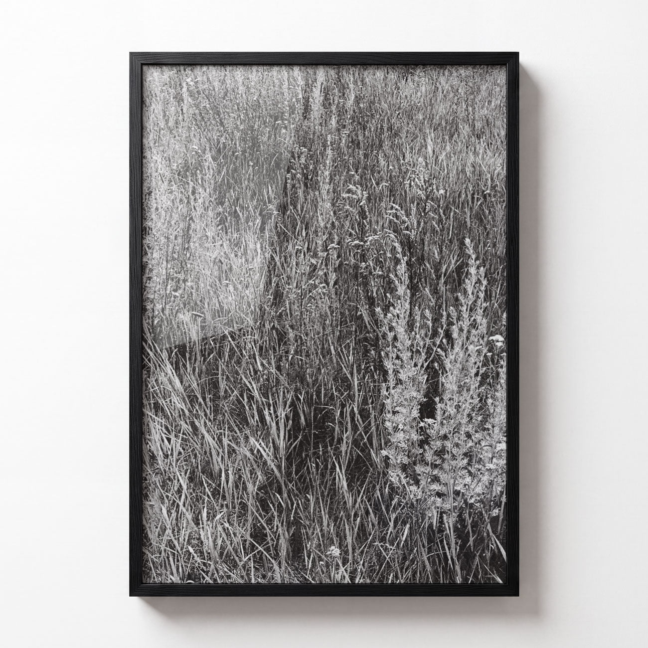 Meadow No. IV