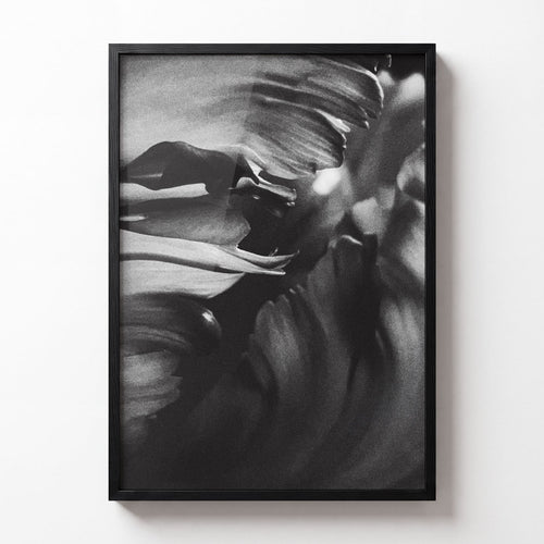 Botanical Study No. I