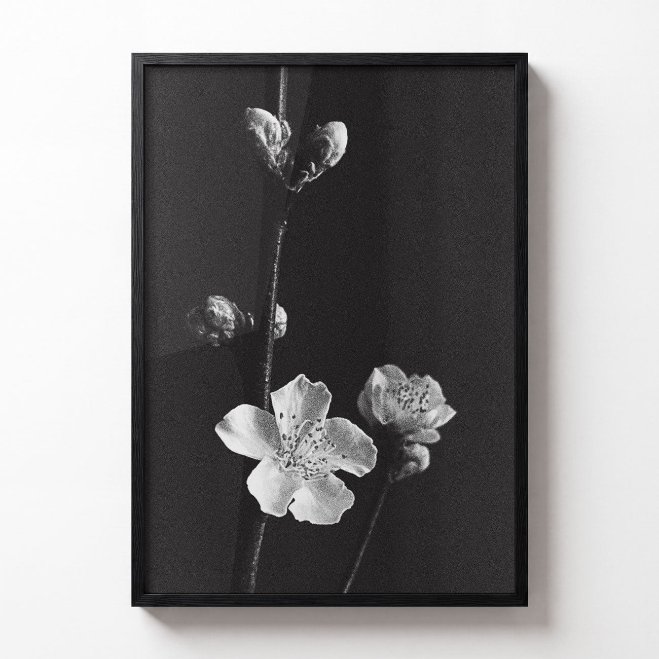 Bloom No. I