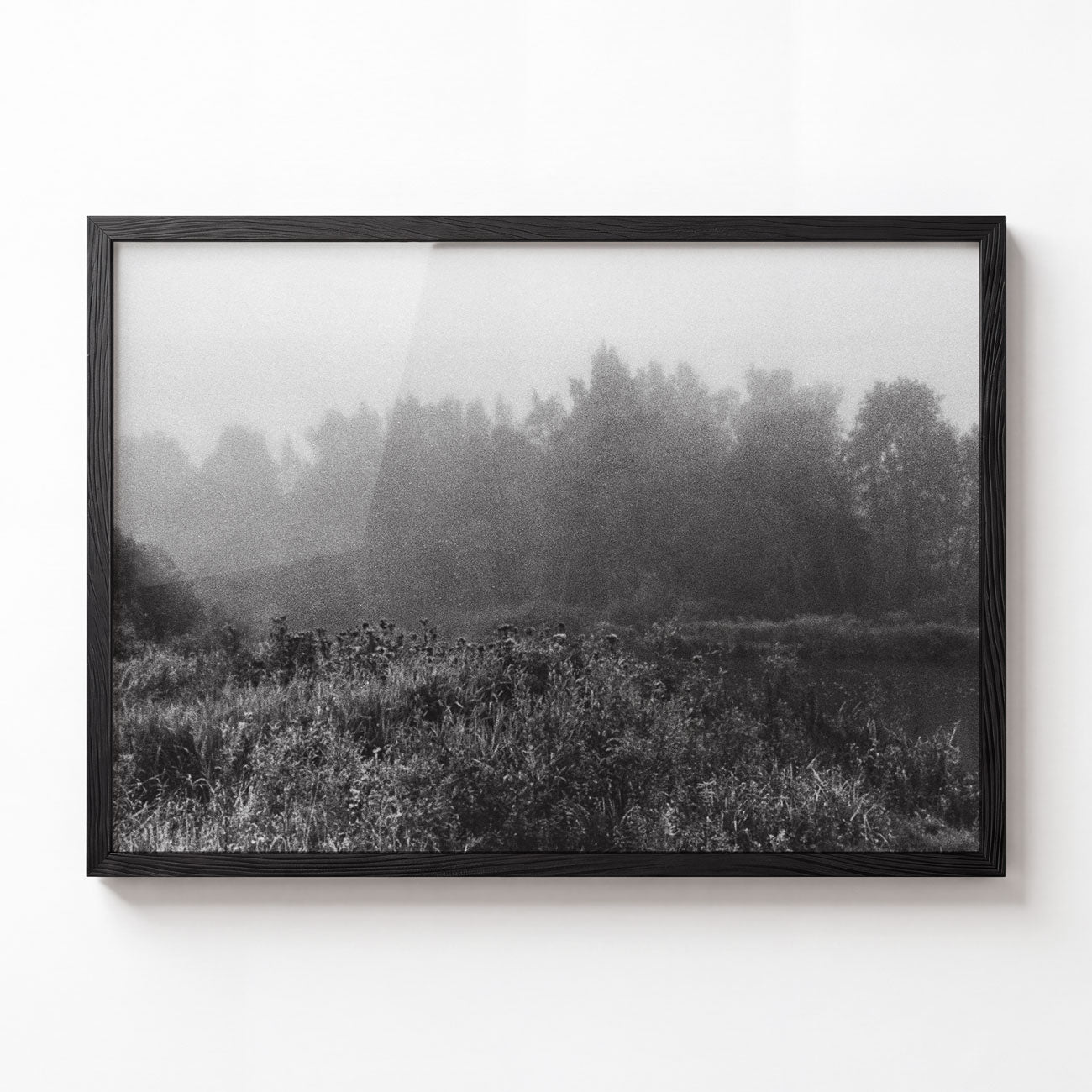 Landscape No. II