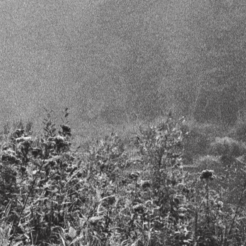 Landscape No. III