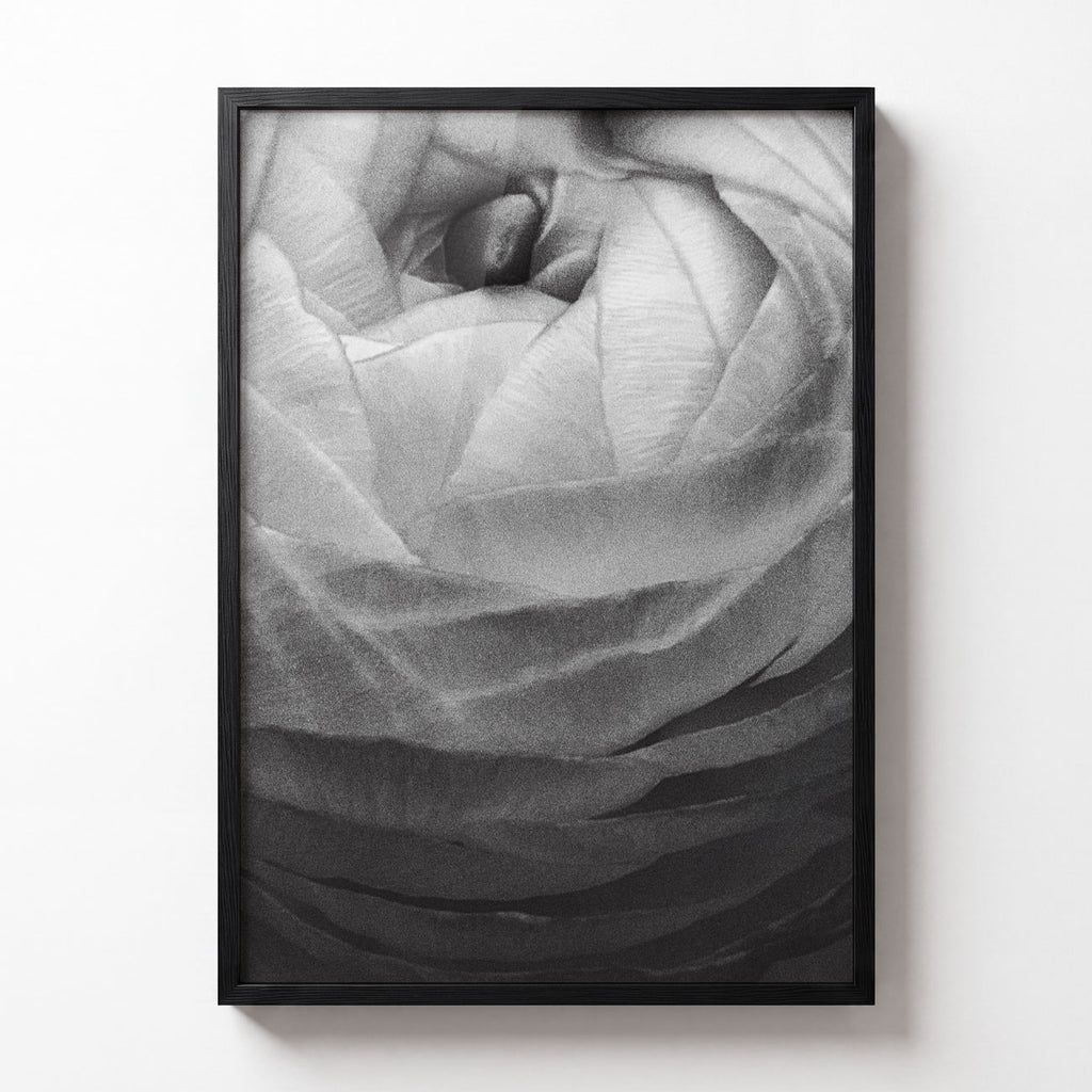 Botanical Study No. III
