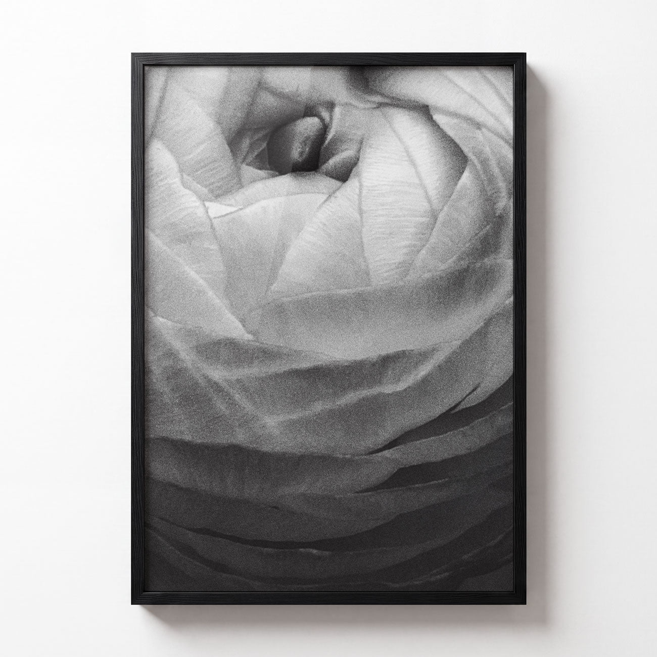 Botanical Study No. III