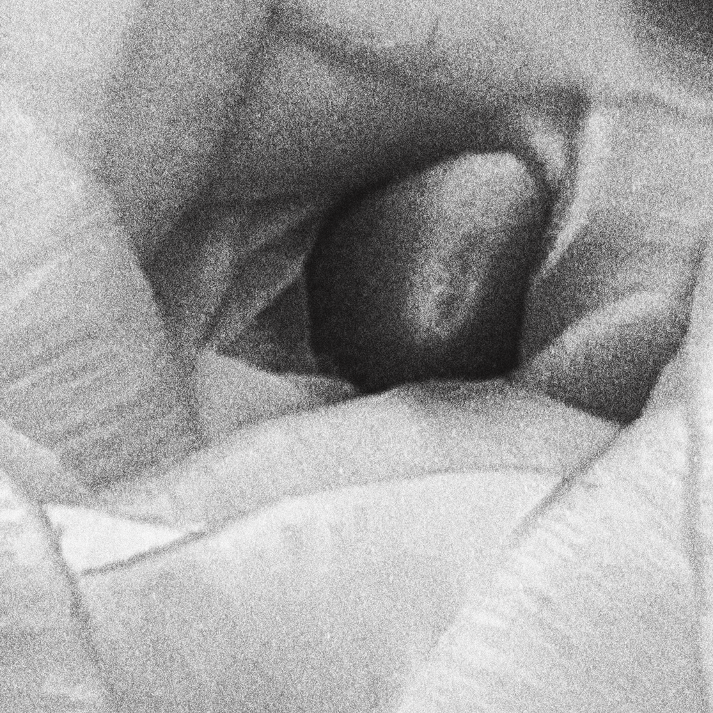 Botanical Study No. III