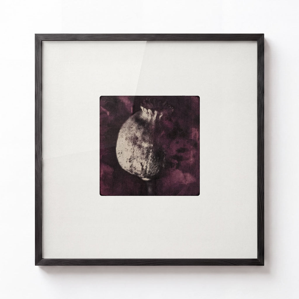 Botanical Study No. IV